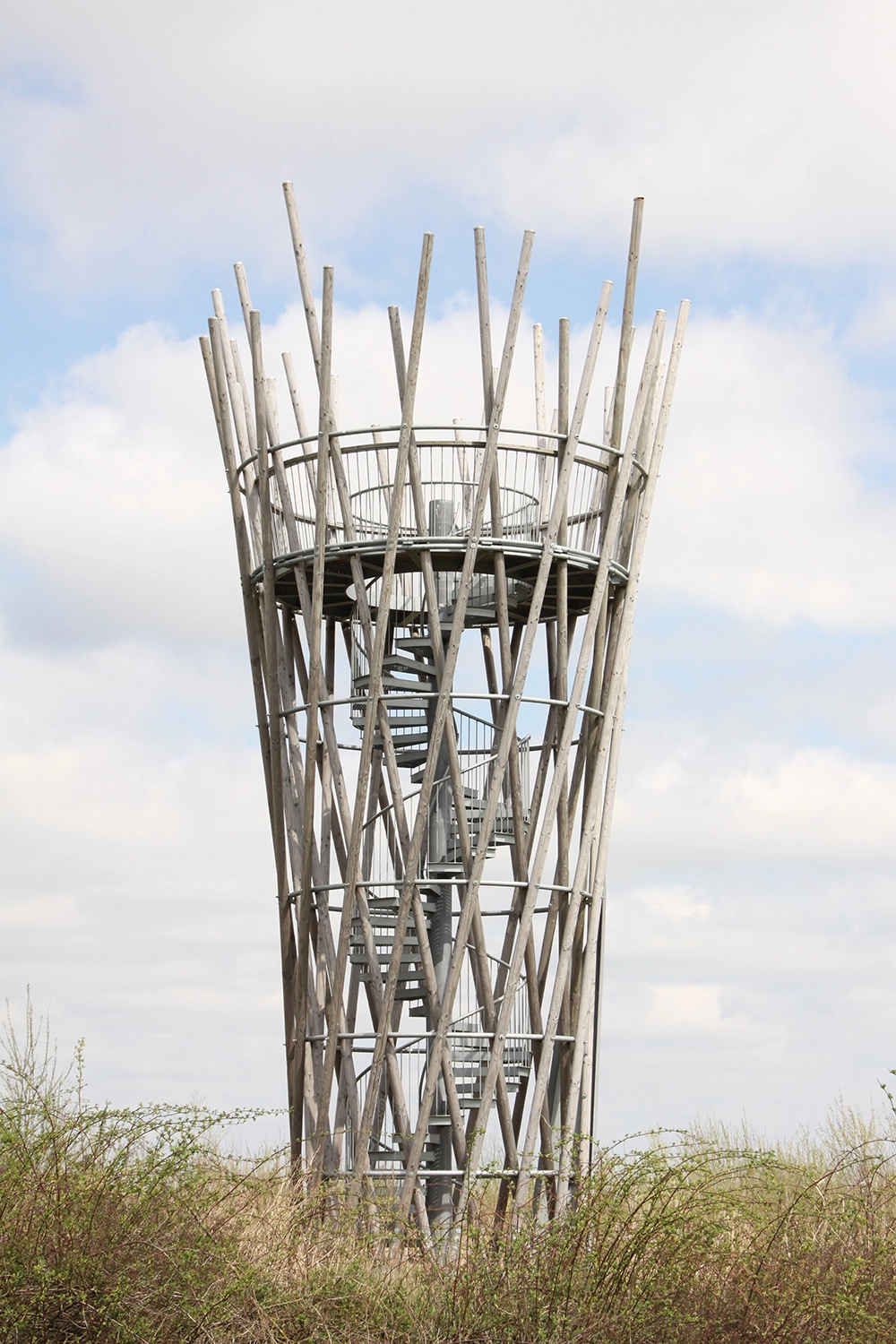 Slide Image
